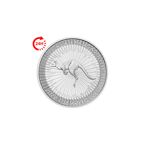 Stříbrná mince Australský klokan